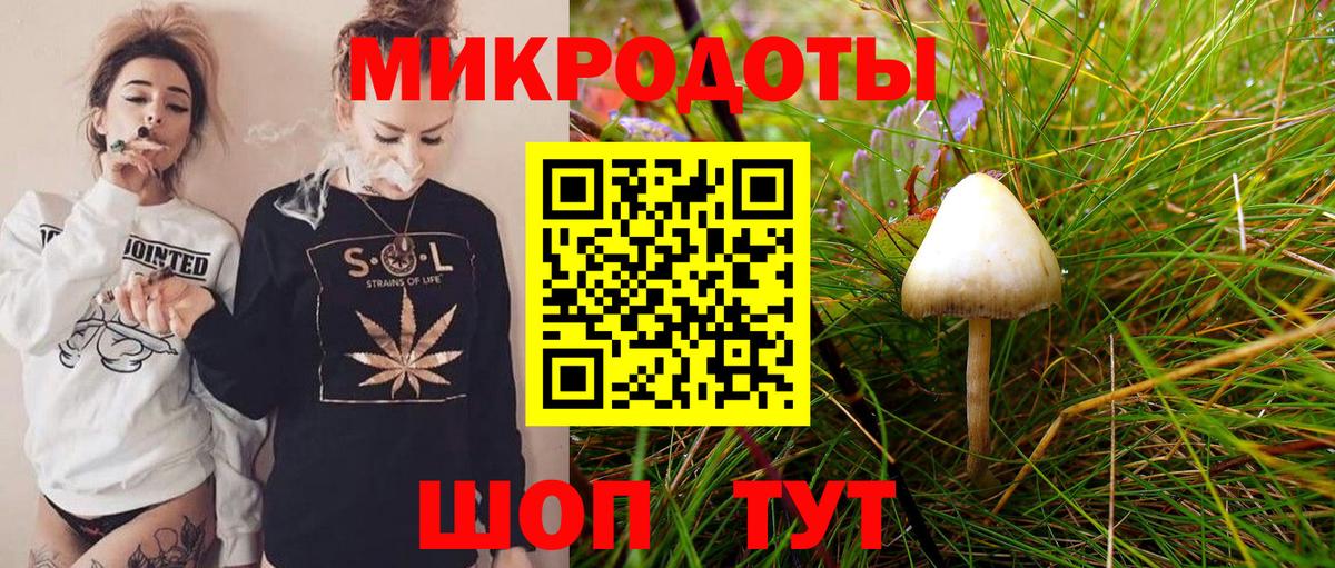 Галлюциногенные грибы ЛСД Лесной